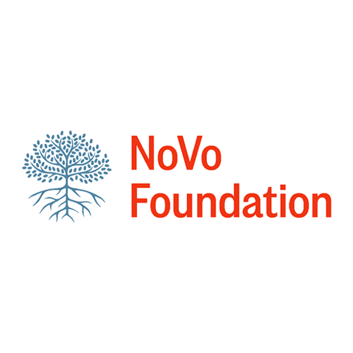 noVo-foundation